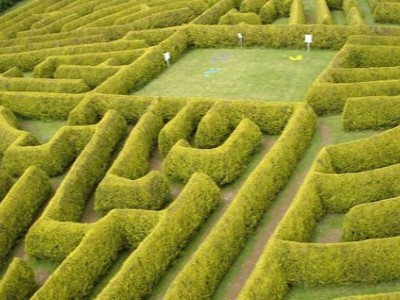 The Kildare Maze The Kildare Maze