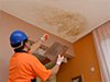 roof-leaks Roof Leak Service